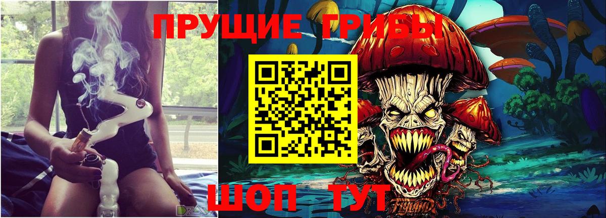 Братск  цена   Вход с VPN  Галлюциногенные грибы Psilocybe 