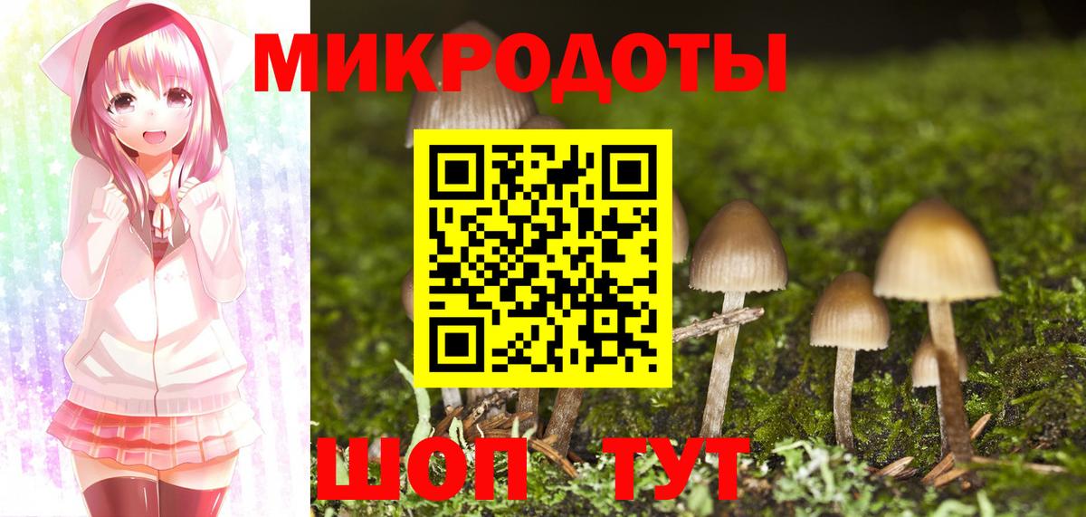 Псилоцибиновые грибы Psilocybe Братск